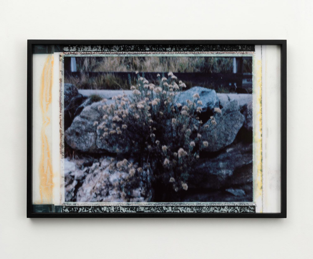 Aphelion_triptych_II
