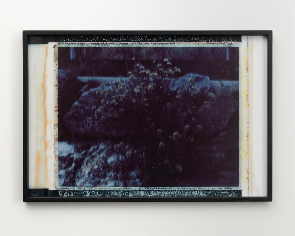 Aphelion_triptych_III
