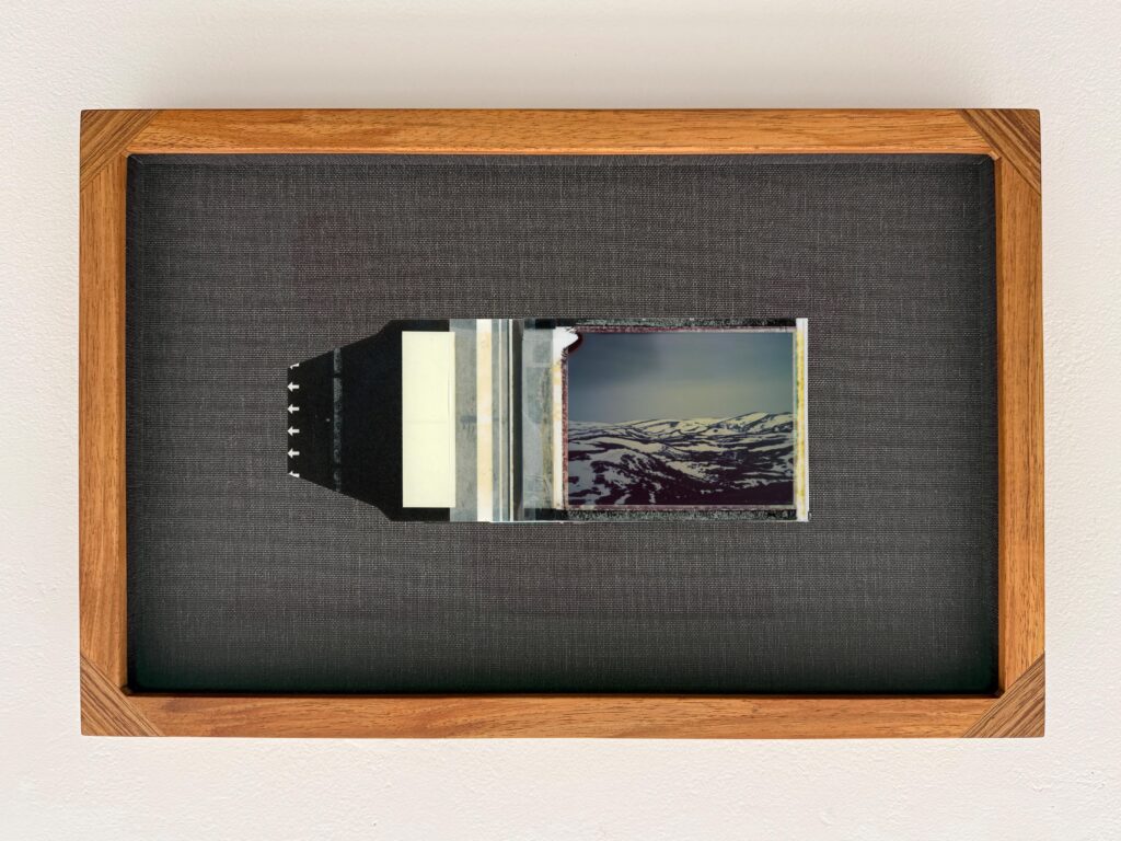 collage logic IV