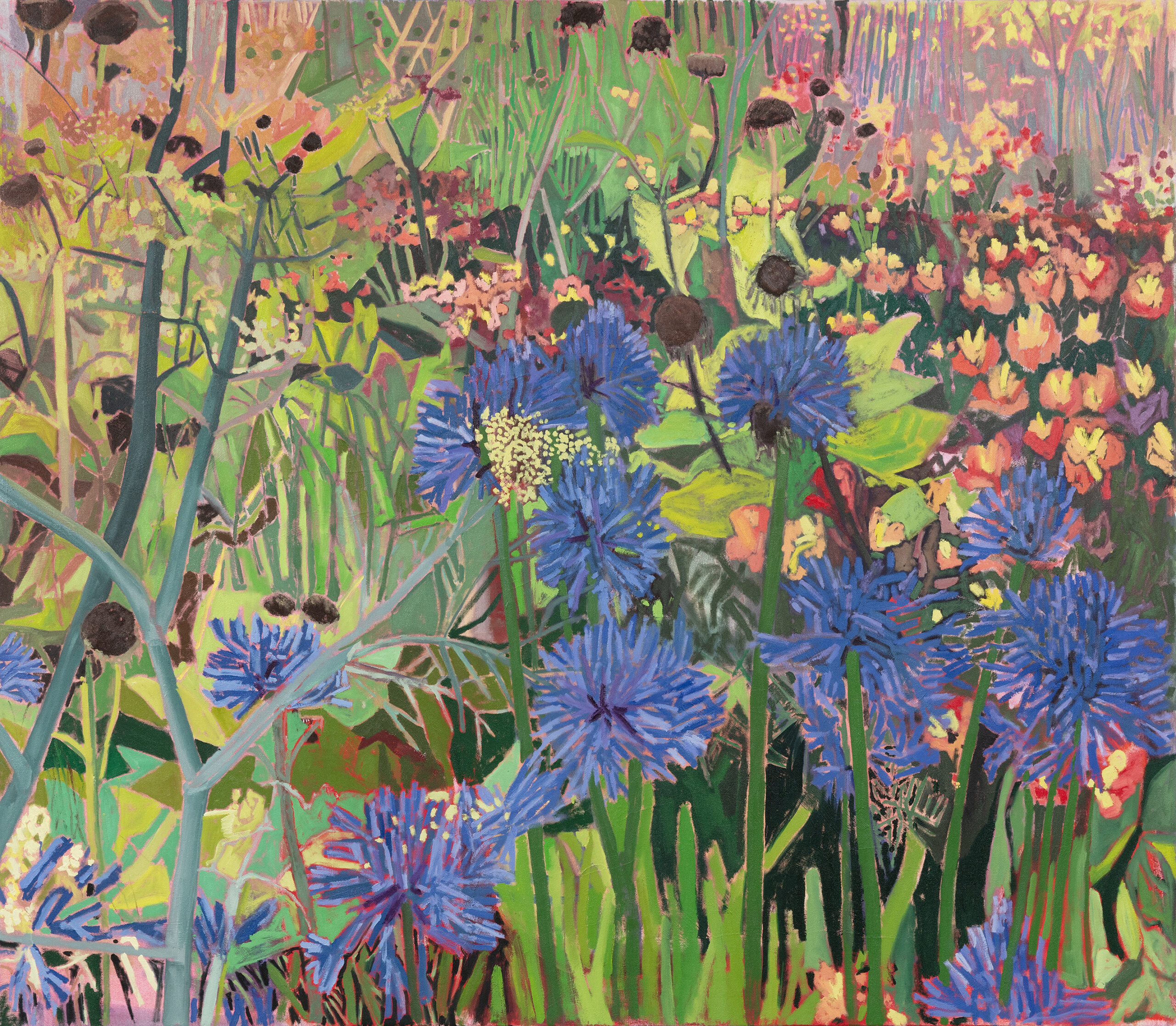 upcoming-exhibitions