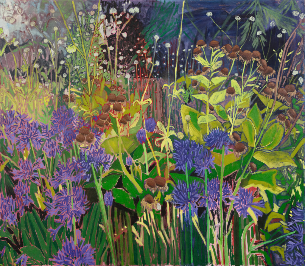 rewilding after the rain