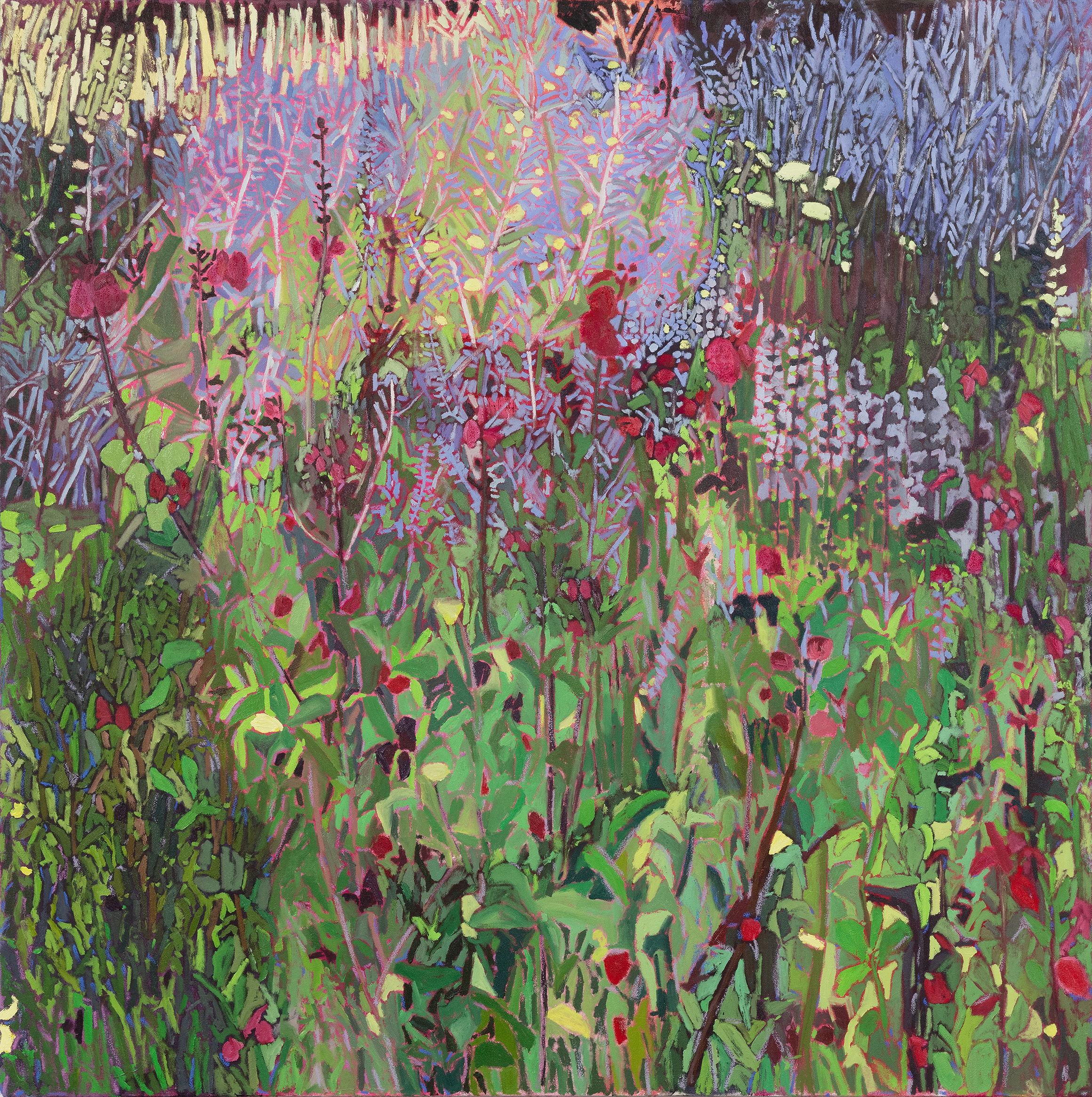 Artwork: Wildflowers Motionless in the Sun