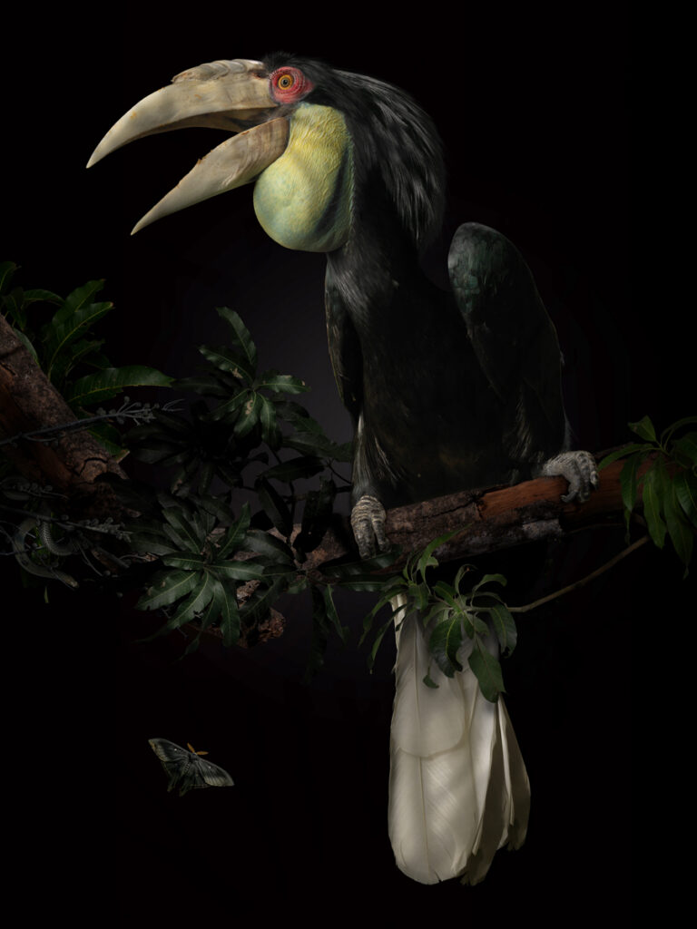 DARK VIVARIUM 2 copy