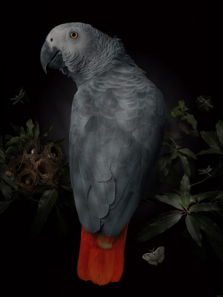DARK VIVARIUM final 10 copy