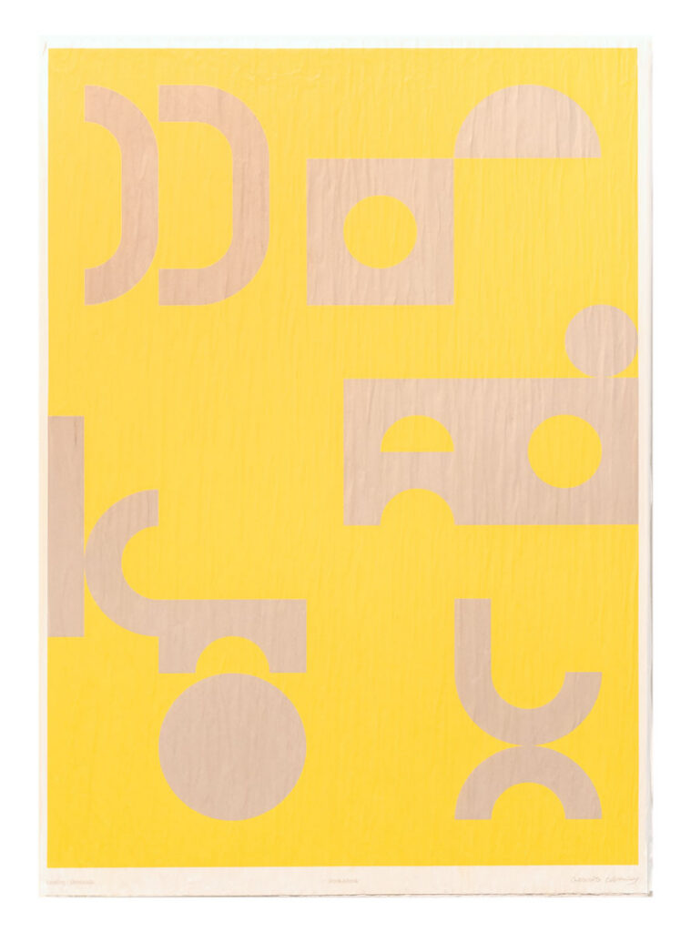 Mark Gowing & Stephen Ormandy, Donkadonk, 2026